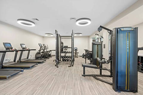 A gym with treadmills, weights, and exercise machines.