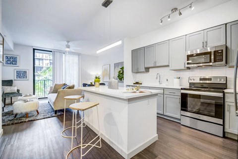 Apartment Kitchen