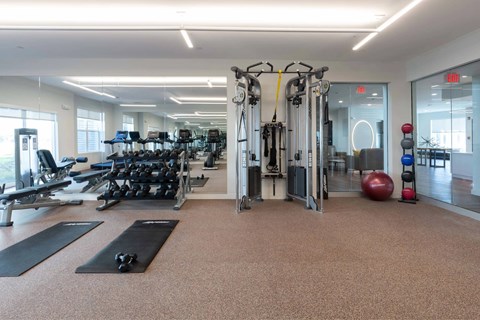 A gym with a variety of equipment including treadmills, weights, and exercise balls.
