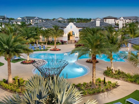 A pool surrounded by palm trees and plants.