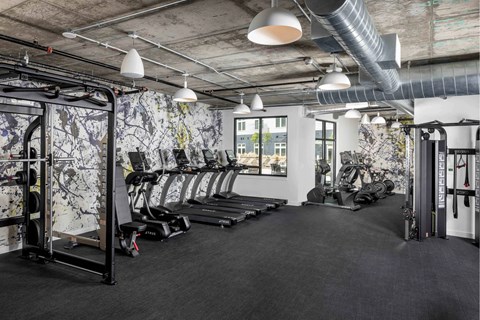 A gym with a row of treadmills and a wall with a leafy pattern.