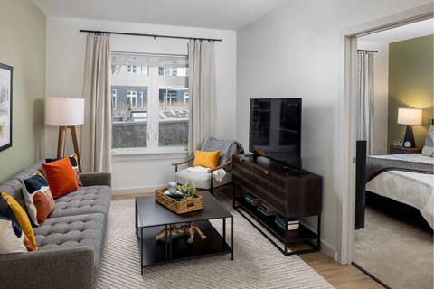A living room with a grey couch, a black coffee table, and a television.