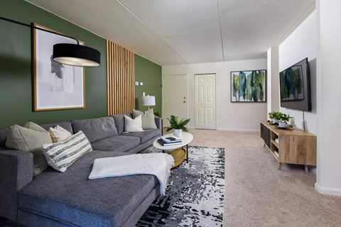 A living room with a grey couch and a black and white rug.