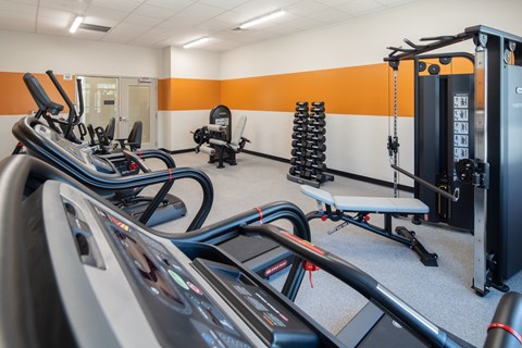 A gym with treadmills, weights and exercise machines.