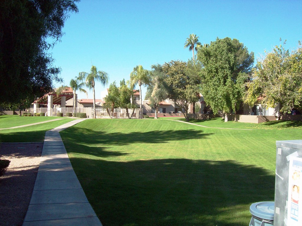a park with a lawn and palm trees