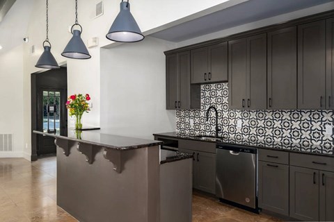 A kitchen with a dark counter top and a stainless steel dishwasher.