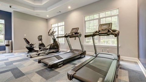 A spacious gym with treadmills and elliptical machines.