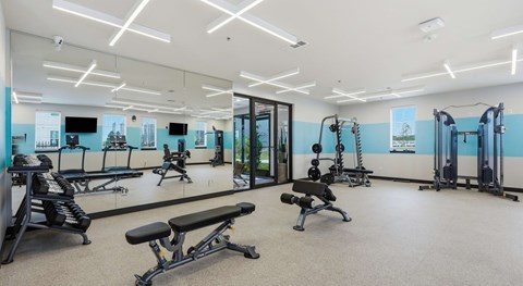 A gym with a variety of equipment including weights and benches.