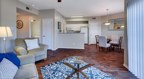 A living room with a grey couch and a blue rug.