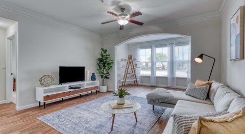 A living room with a television, a plant, and a rug.