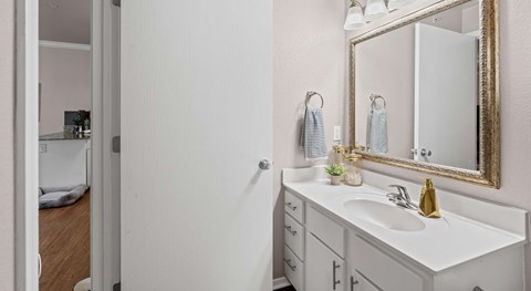 A bathroom with a white sink and a mirror.