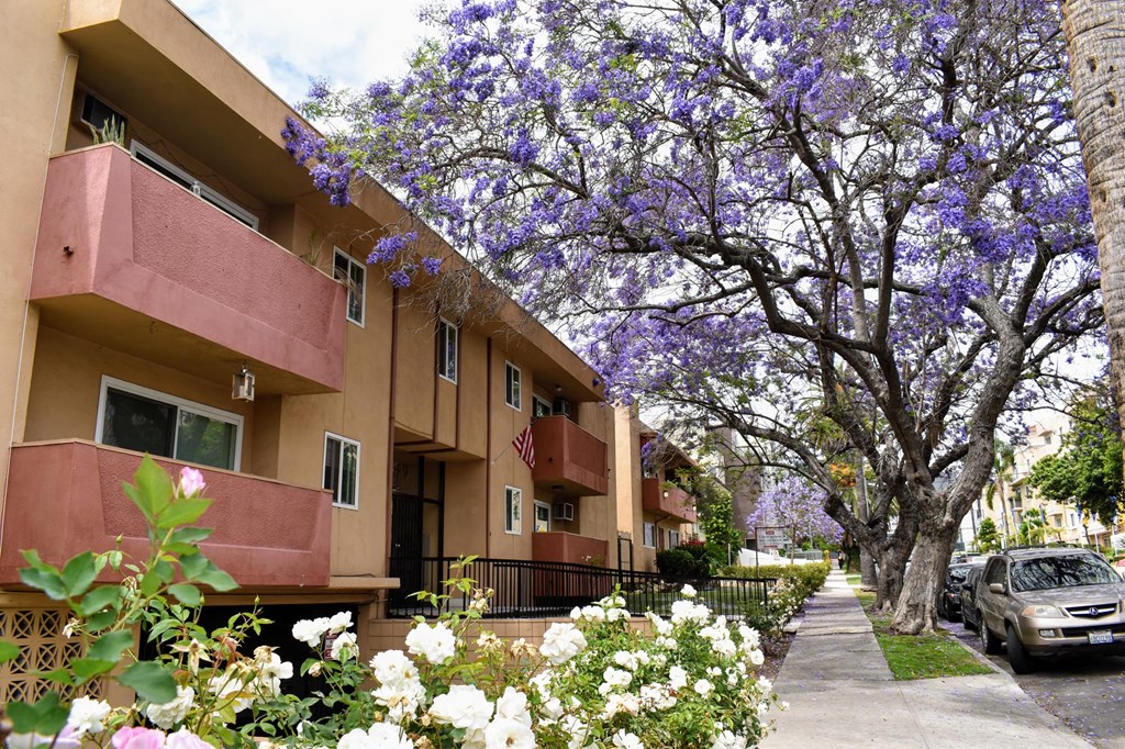 a city street with apartments and flowering trees