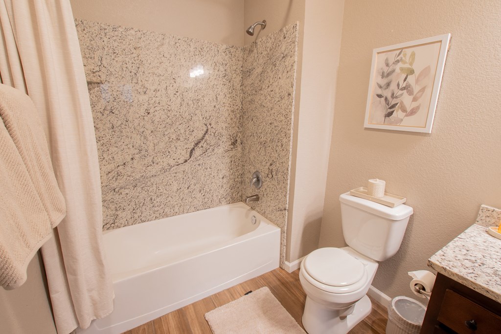 a bathroom with a toilet and a tub and a shower