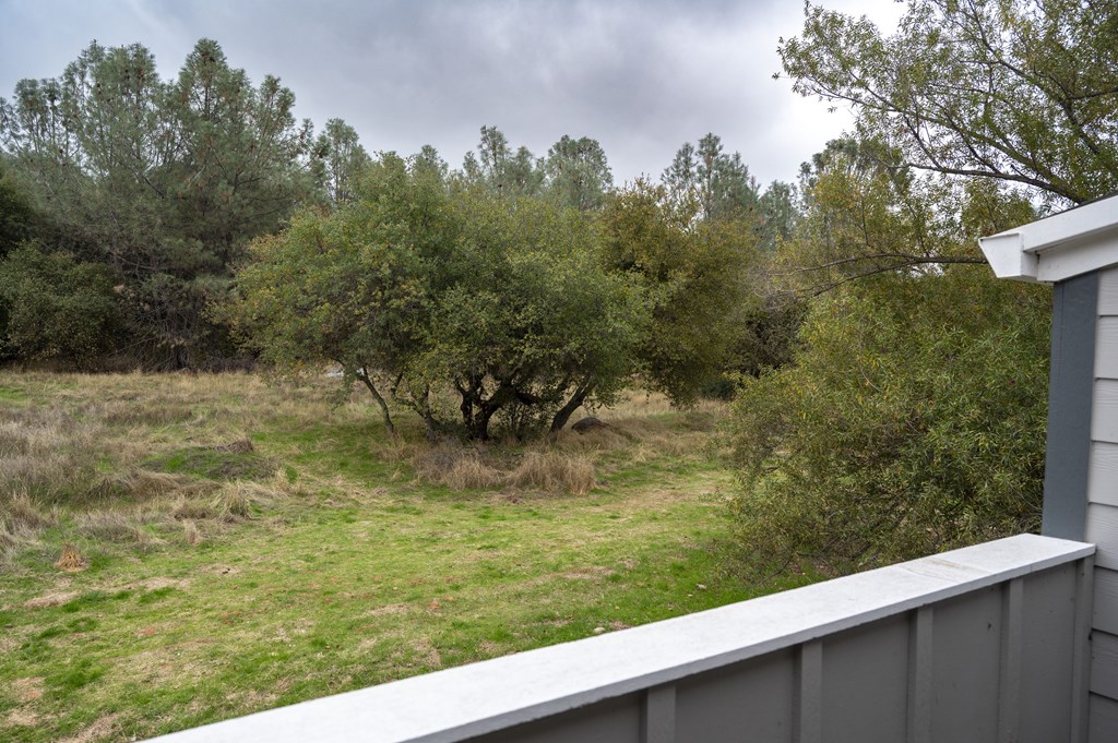 A tree in a field with a house in the background at Sierra Oaks Living Apartments, Cameron Park, CA