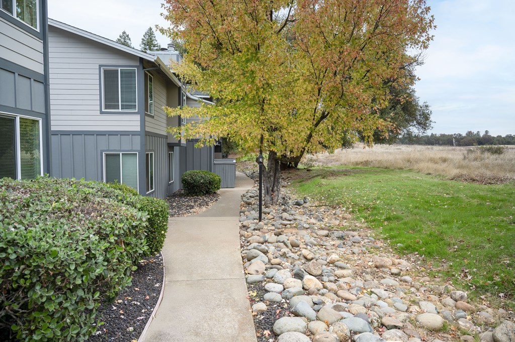 A tree with yellow leaves stands next to a grey building at Sierra Oaks Living Apartments, Cameron Park 95682
