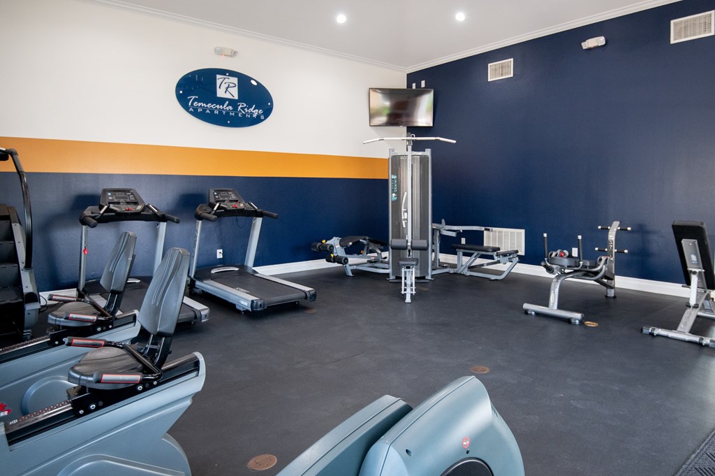 A gym with treadmills, exercise bikes and other equipment.