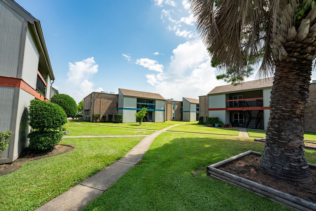 A palm tree is in the front yard of a building.