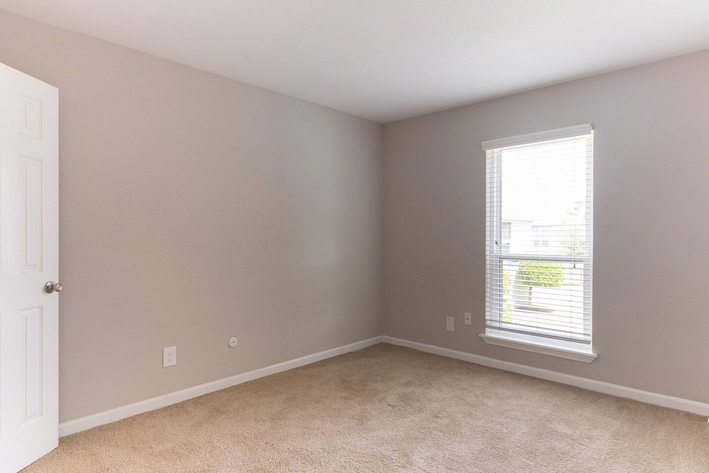 A room with a carpeted floor, a door, and a window with blinds.