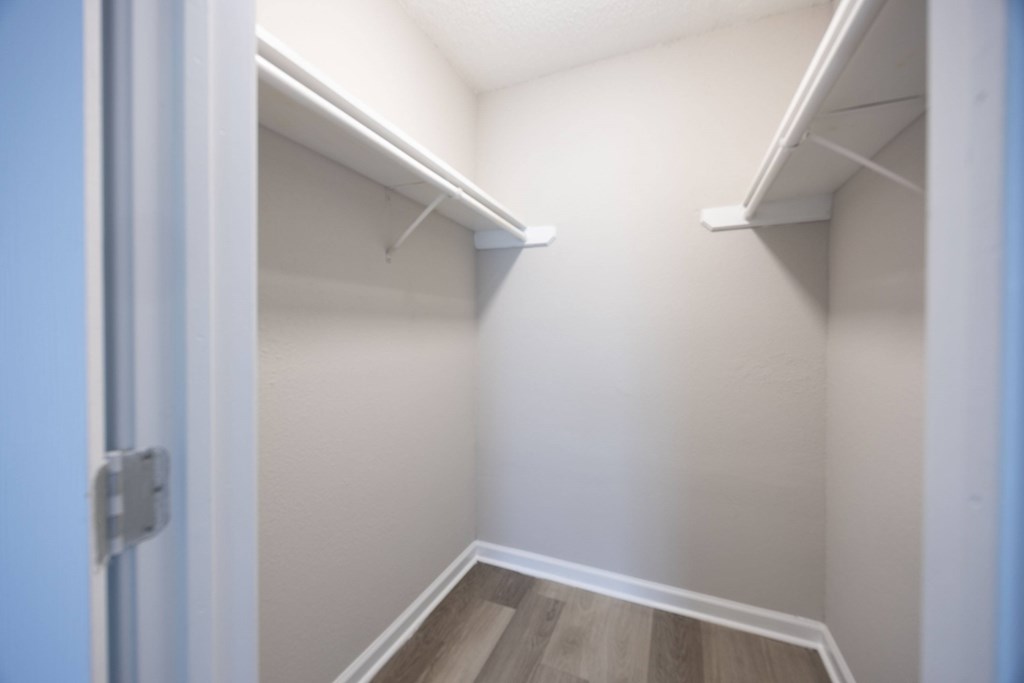 A white closet with a door open and a carpeted floor.