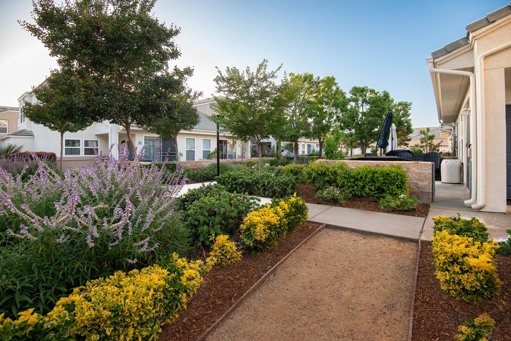 A garden with a pathway and yellow flowers.