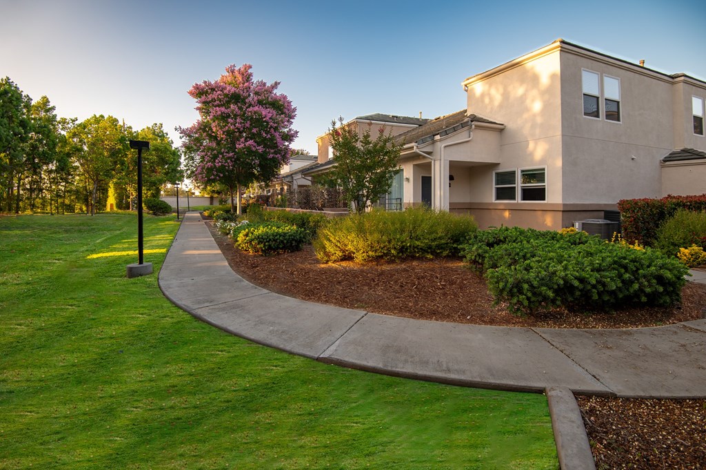 A residential area with a house, a lawn, and a pathway.