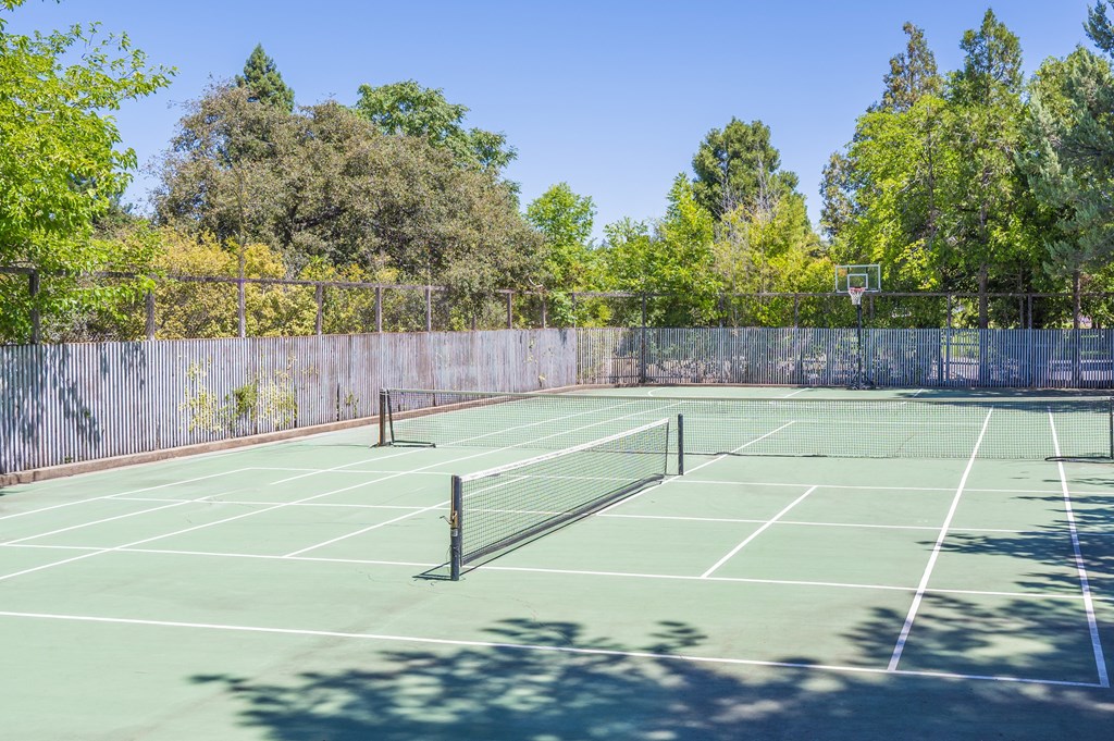 A tennis court surrounded by a fence and trees.