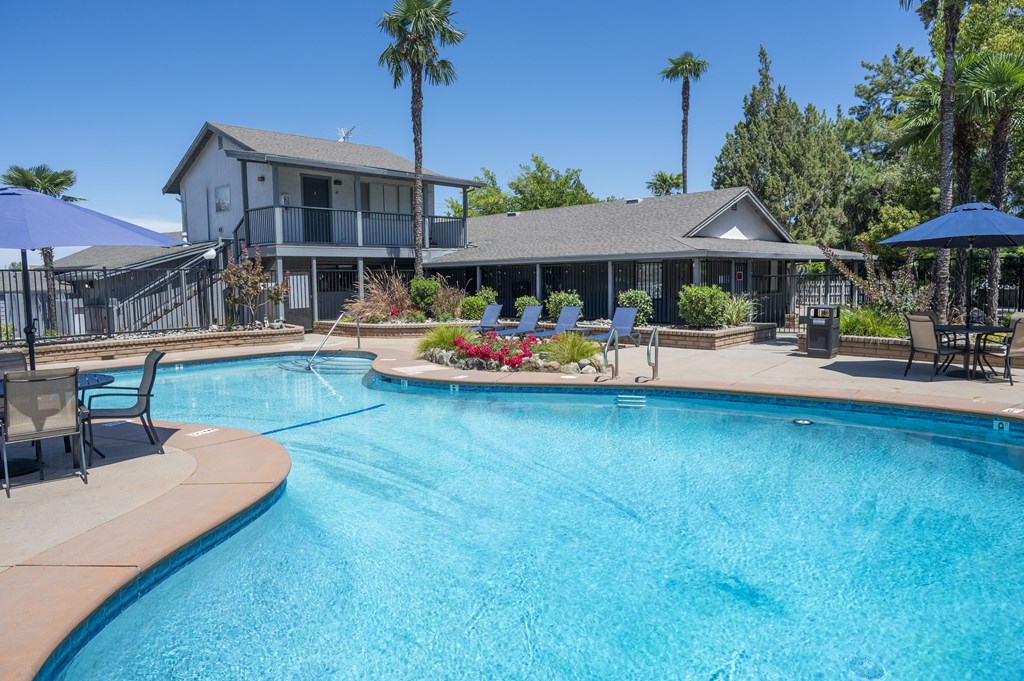 A large swimming pool with a house and palm trees in the background.