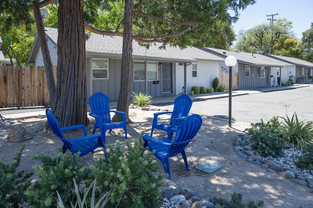 Two blue chairs are placed in front of a tree.