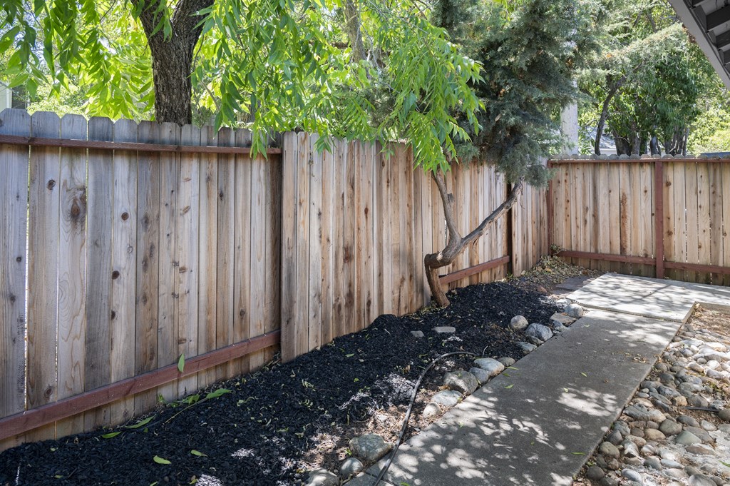 A wooden fence with a tree growing out of it.