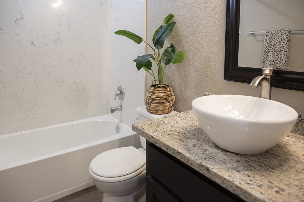 A bathroom with a toilet, sink, and a plant.