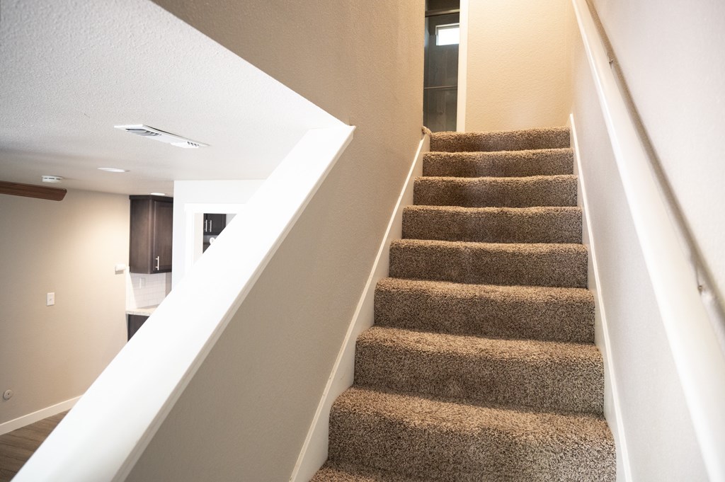 A staircase with a brown carpeted runner and white risers.
