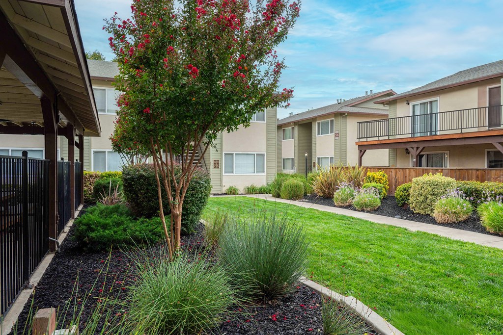 A tree with red flowers is in the middle of a garden.