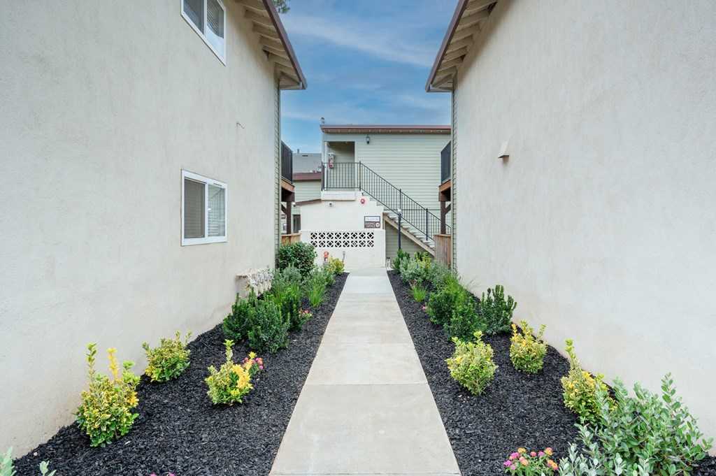 A garden pathway leads to a house with a white fence.