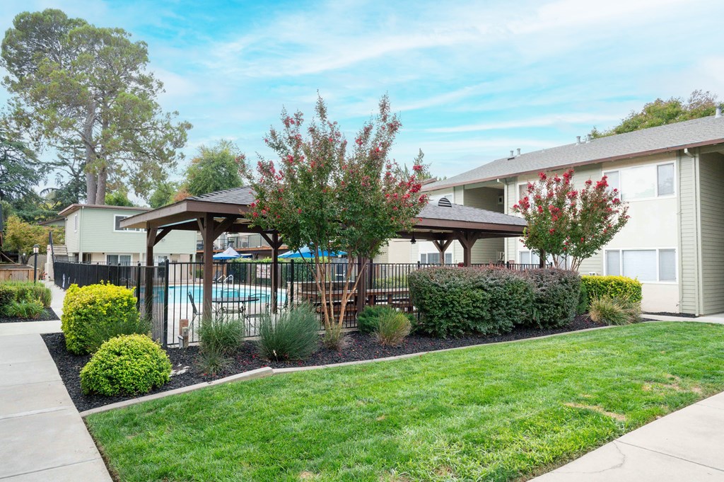 A small tree with red leaves is in front of a building.