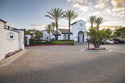 A white building with a black roof and a sign that reads "MV" is surrounded by palm trees and a brick walkway.
