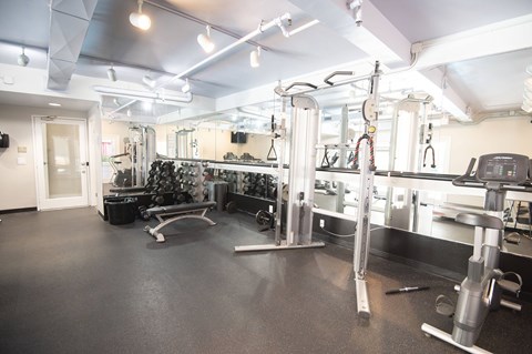 A gym with a variety of equipment including a squat rack, bench, and weights.