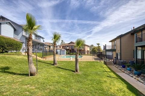 A sunny day at a residential area with a swimming pool and palm trees.