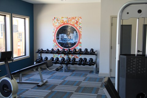 A gym with a row of dumbbells and a weight machine.