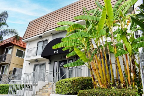 A building with the number 219 on it.