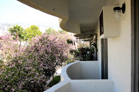 View from patio