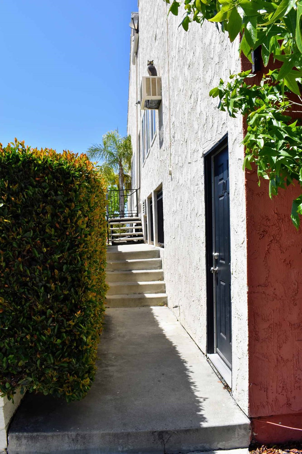 Shaded walkway between units and landscaped hedges