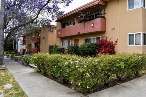 the exterior of an apartment building with a sidewalk and landscaping