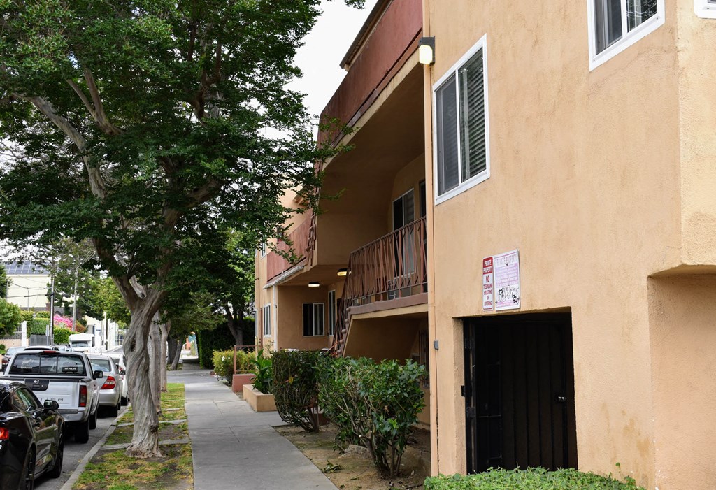 an apartment building with a sidewalk and a tree in front of it
