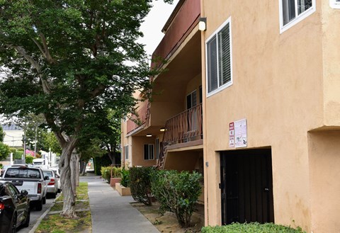 an apartment building with a sidewalk and a tree in front of it