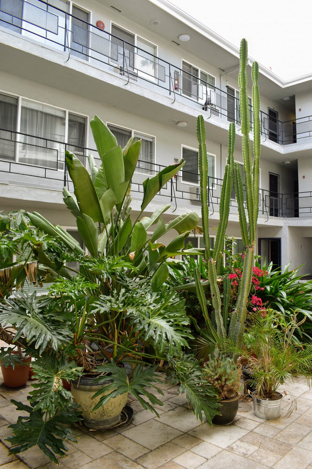 lush green foliage in the community courtyard