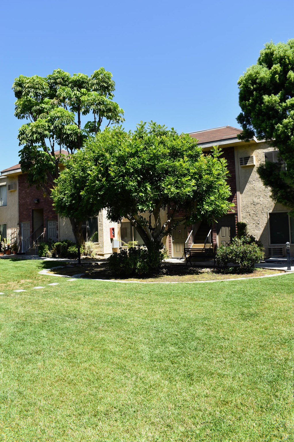 View of courtyard lawn