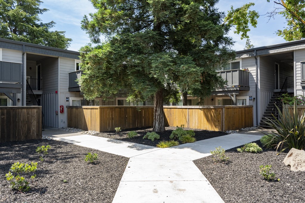View of courtyard with sidewalk leading to buildings showcasing shaded private patio/balcony