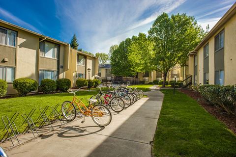 a row of bikes parked in front of an apartment building