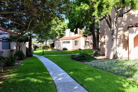 View of sidewalk winding throuhg courtyard, exterior buildings and shade trees in background