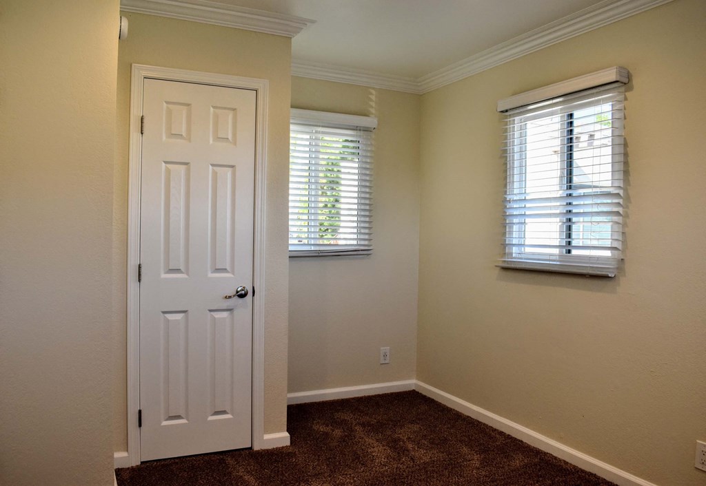 View of bedroom with two well lit windows and carpet flooring